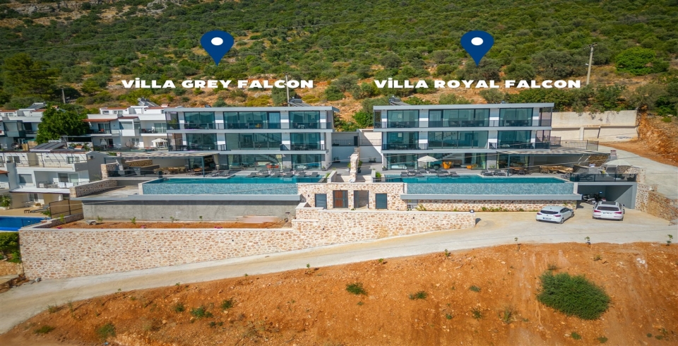Villa Grey Falcon
