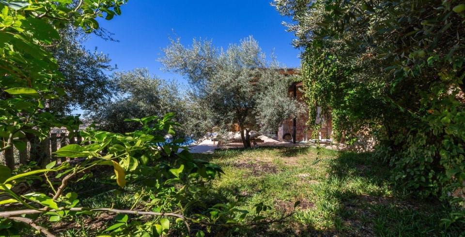 Villa Ambar Ev
